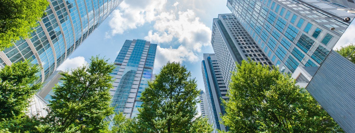 Office buildings skyline with trees in the foreground